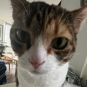 Meet your Posher, Pia